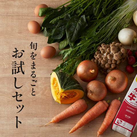 ニラ